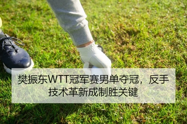 樊振东WTT冠军赛男单夺冠，反手技术革新成制胜关键